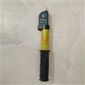 GD110KV驗電器