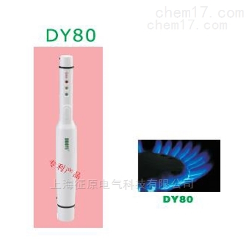 DY80便携式天然气/煤气泄漏检测仪
