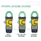 DY250B双显数字钳表